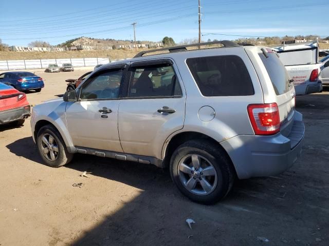 2011 Ford Escape XLT