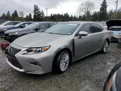 Lexus Vehiculos salvage en venta: 2016 Lexus ES 350