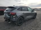 2023 Ford Escape ST Line Elite