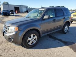 Salvage cars for sale at Harleyville, SC auction: 2012 Ford Escape XLT