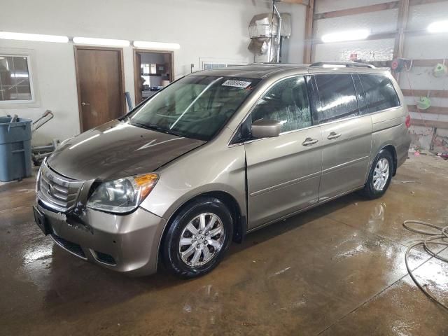 2010 Honda Odyssey EXL