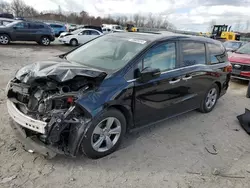 2018 Honda Odyssey EXL en venta en Duryea, PA