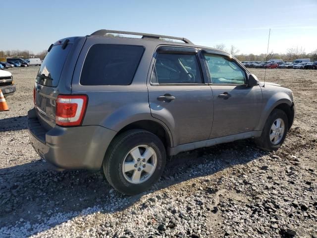 2009 Ford Escape XLT