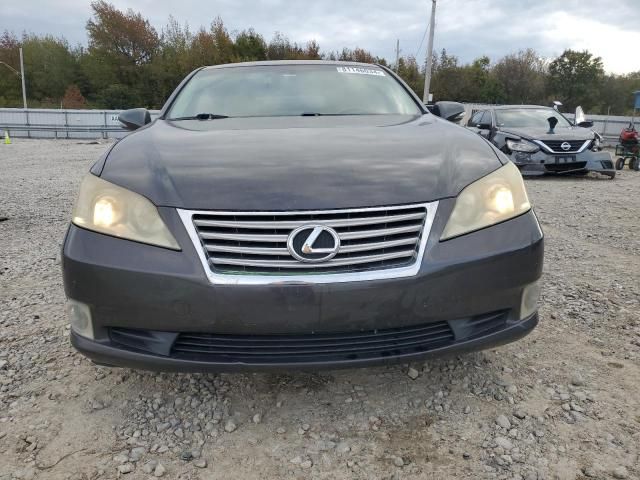 2010 Lexus ES 350