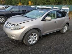 Nissan salvage cars for sale: 2009 Nissan Murano S