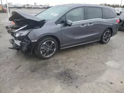 Salvage cars for sale from Copart Indianapolis, IN: 2024 Honda Odyssey Elite