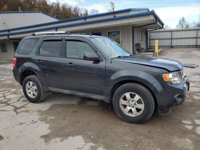 2009 Ford Escape Limited