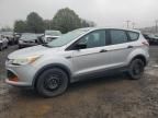 2015 Ford Escape S