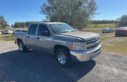 Salvage cars for sale from Copart Apopka, FL: 2013 Chevrolet Silverado C1500 LT