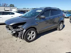 Salvage SUVs for sale at auction: 2013 Ford Escape SE