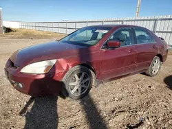 Salvage cars for sale at Rapid City, SD auction: 2004 Honda Accord EX