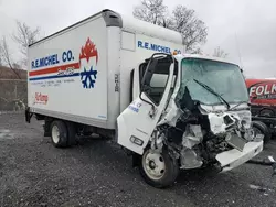 Chevrolet c/k4500 salvage cars for sale: 2023 Chevrolet 4500