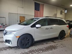 Honda salvage cars for sale: 2019 Honda Odyssey EXL