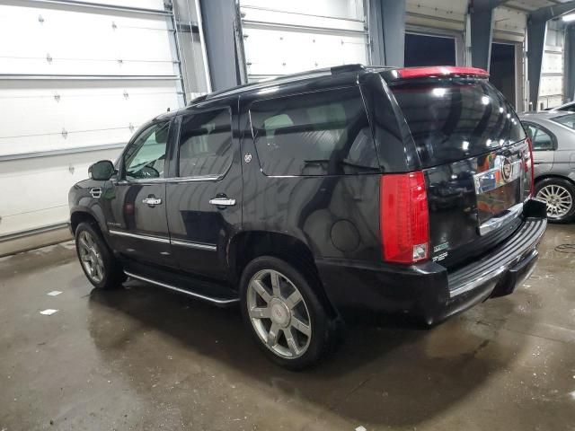 2010 Cadillac Escalade Luxury