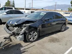 Honda Accord lx salvage cars for sale: 2015 Honda Accord LX