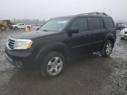 Salvage cars for sale from Copart Lumberton, NC: 2013 Honda Pilot EXL