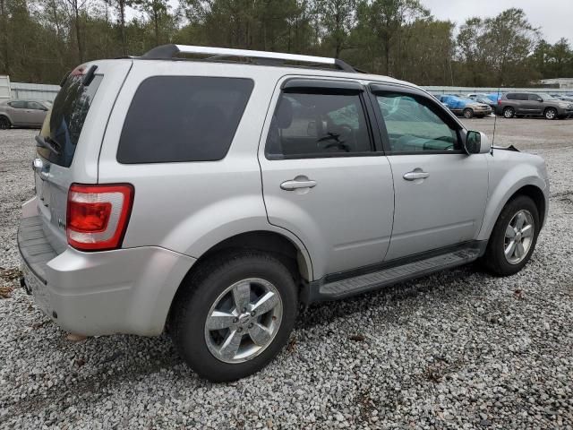 2011 Ford Escape Limited