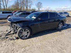 2017 Dodge Charger SXT en venta en Cicero, IN