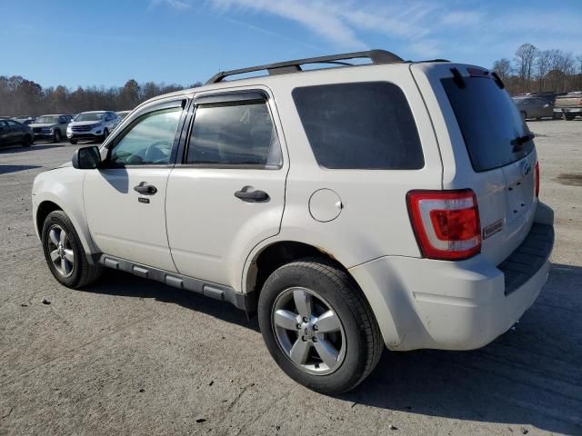 2011 Ford Escape XLT