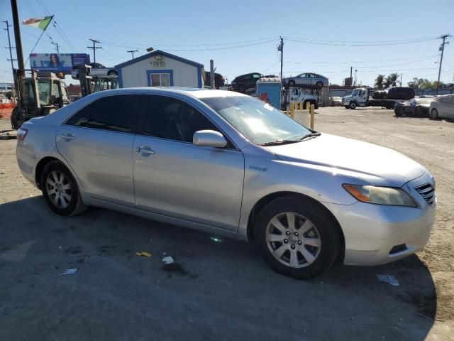 2009 Toyota Camry Hybrid