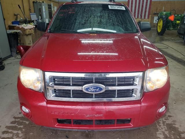 2011 Ford Escape XLT