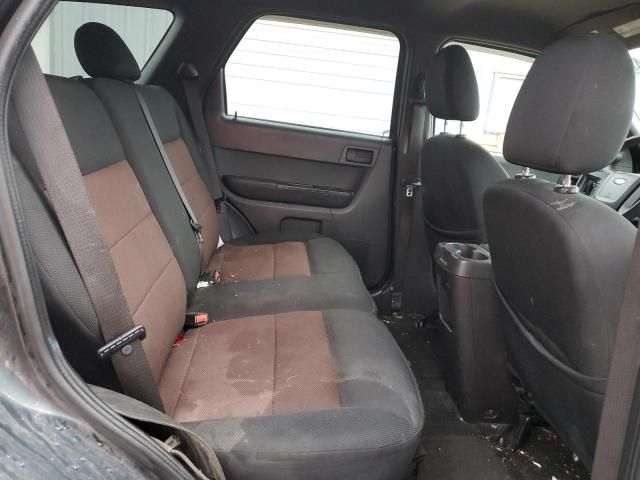 2008 Ford Escape XLT