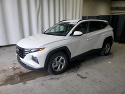 Hyundai salvage cars for sale: 2024 Hyundai Tucson SEL