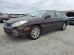 2004 Lexus ES 330