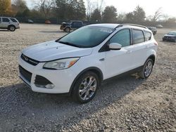 Vehiculos salvage en venta de Copart Madisonville, TN: 2014 Ford Escape SE