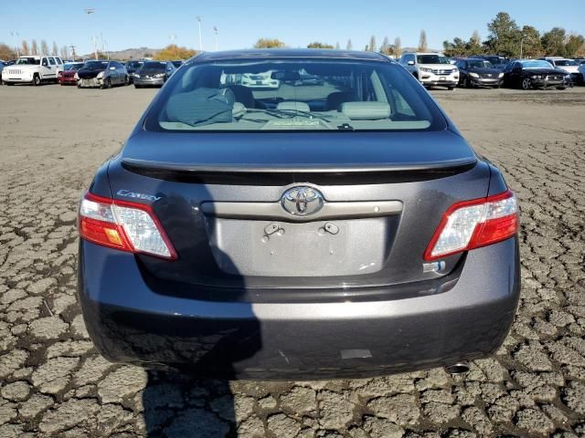 2008 Toyota Camry Hybrid