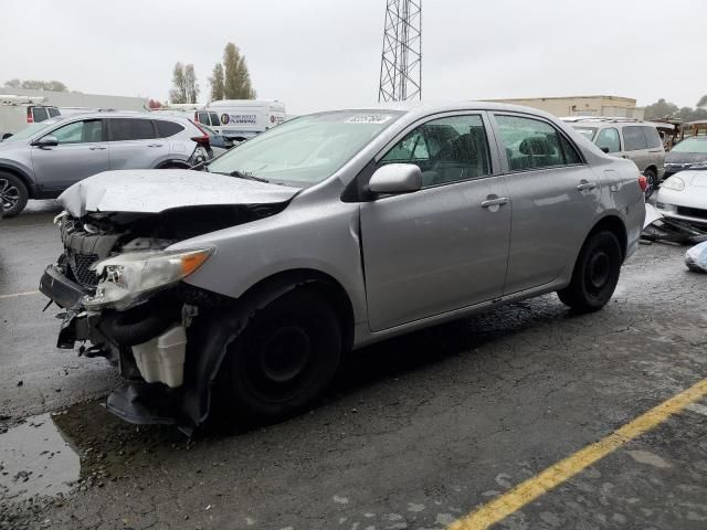 2009 Toyota Corolla Base