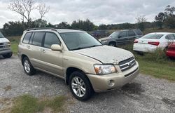 Salvage cars for sale from Copart Apopka, FL: 2006 Toyota Highlander Hybrid