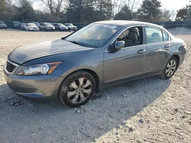 2010 Honda Accord EXL