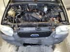 2007 Ford Escape XLT