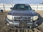 2009 Ford Escape Limited