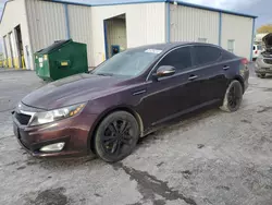 KIA Optima salvage cars for sale: 2013 KIA Optima EX