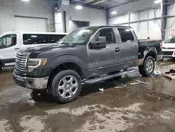 2013 Ford F150 Supercrew en venta en Ham Lake, MN