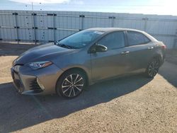 Salvage cars for sale from Copart Amarillo, TX: 2018 Toyota Corolla L