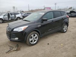 Ford salvage cars for sale: 2013 Ford Escape SE