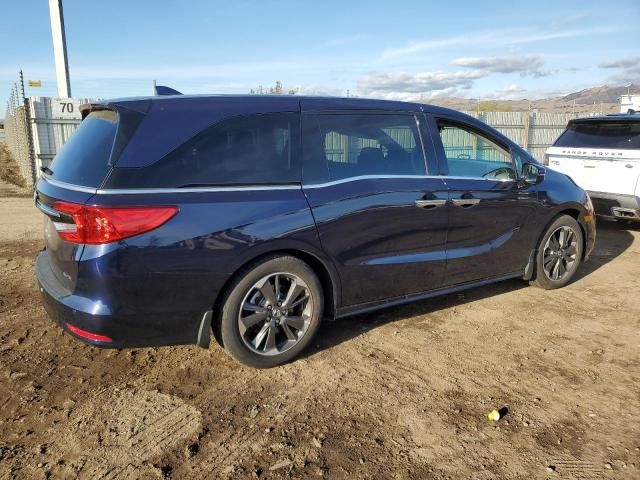 2023 Honda Odyssey Elite