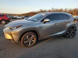 Salvage cars for sale at Brookhaven, NY auction: 2020 Lexus NX 300