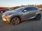 2020 Lexus NX 300