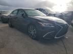 2024 Lexus ES 350 Base