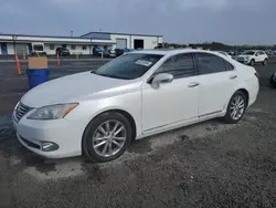 2010 Lexus ES 350 en venta en Lumberton, NC