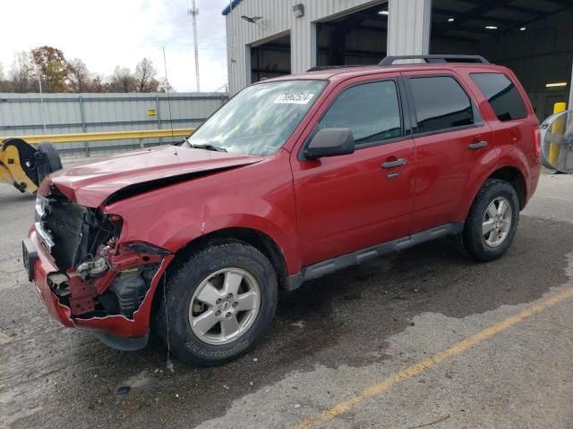 2011 Ford Escape XLT