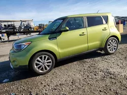 Salvage cars for sale at Lumberton, NC auction: 2017 KIA Soul +