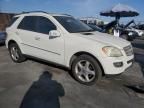 2008 Mercedes-Benz ML 350