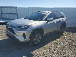 Lots with Bids for sale at auction: 2024 Toyota Rav4 XLE