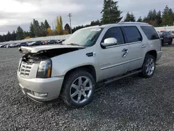 Cadillac Escalade salvage cars for sale: 2007 Cadillac Escalade Luxury