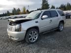 2007 Cadillac Escalade Luxury